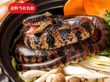 画像をギャラリービューアに読み込む, 【ギフト】ヘビに睨まれたカエルセット〈送料当社負担〉