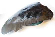 画像をギャラリービューアに読み込む, 〈NEW〉北海道産 トドヒレ(カット)