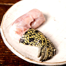 画像をギャラリービューアに読み込む, 【お肉単品】オーストラリア産 ワニ手羽肉