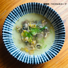 画像をギャラリービューアに読み込む, 今シーズン残りわずか・単品人気No.1【お肉単品】小笠原島産 ウミガメ肉・100g
