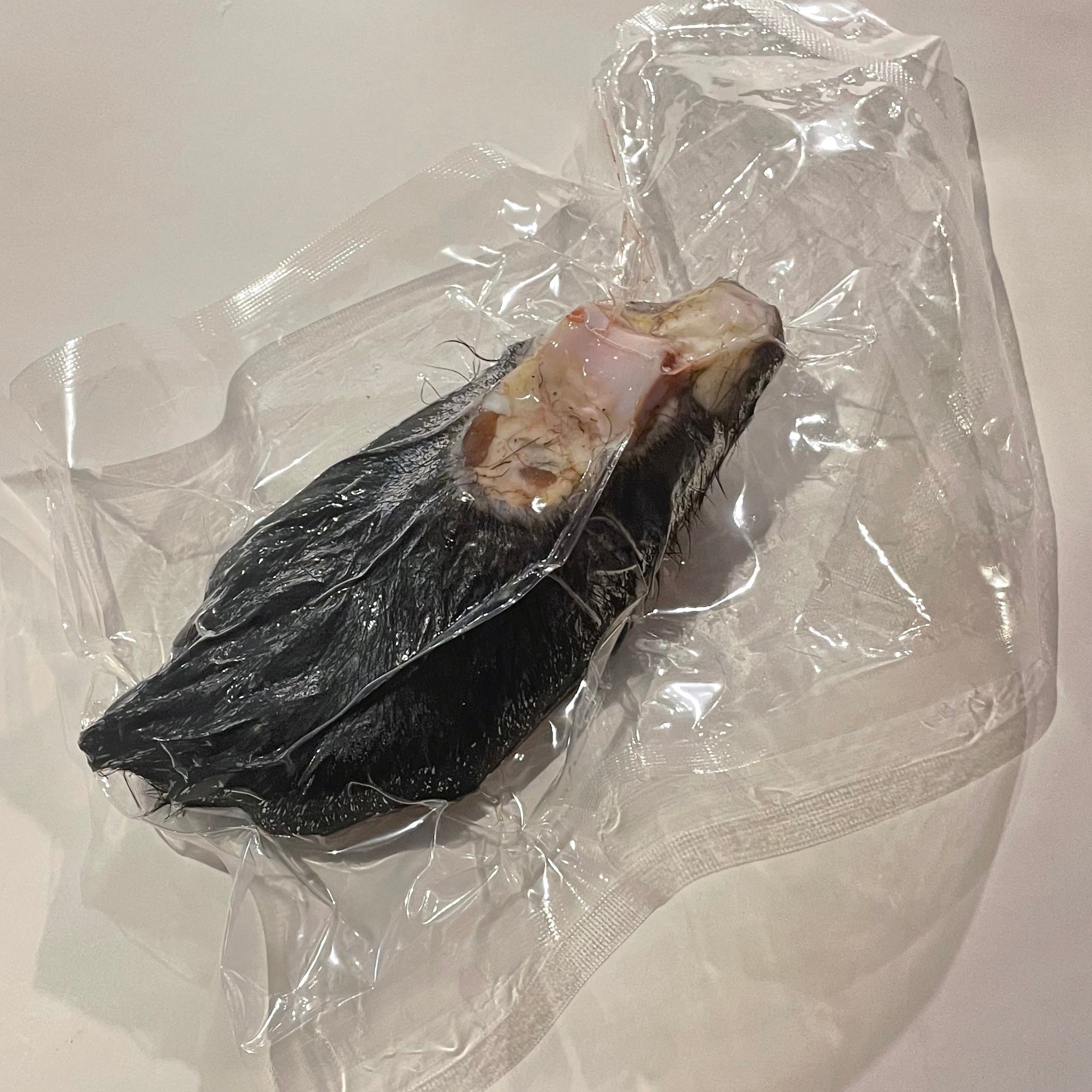 NEW【単品】長野県産・ツキノワグマの手／足 (約290g) – 米とサーカス