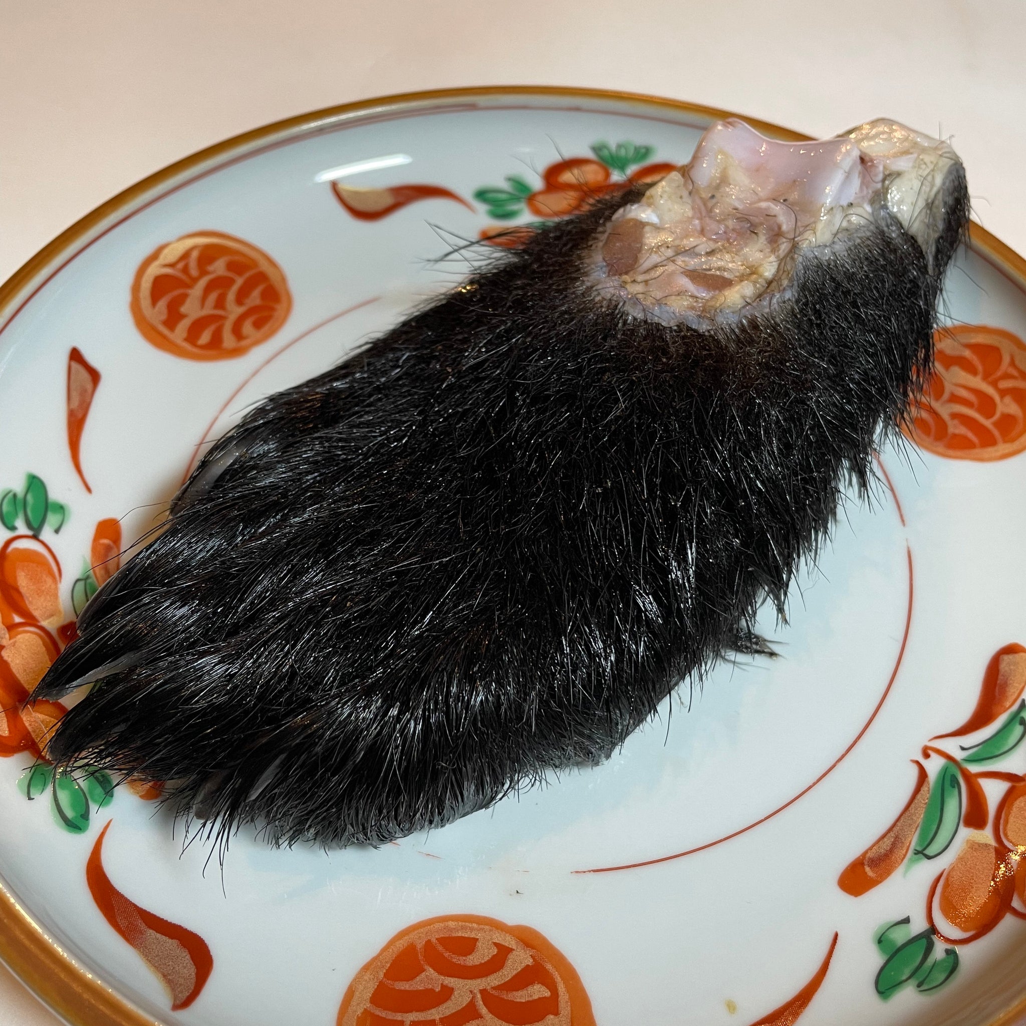 NEW【単品】長野県産・ツキノワグマの手／足 (約290g) – 米とサーカス