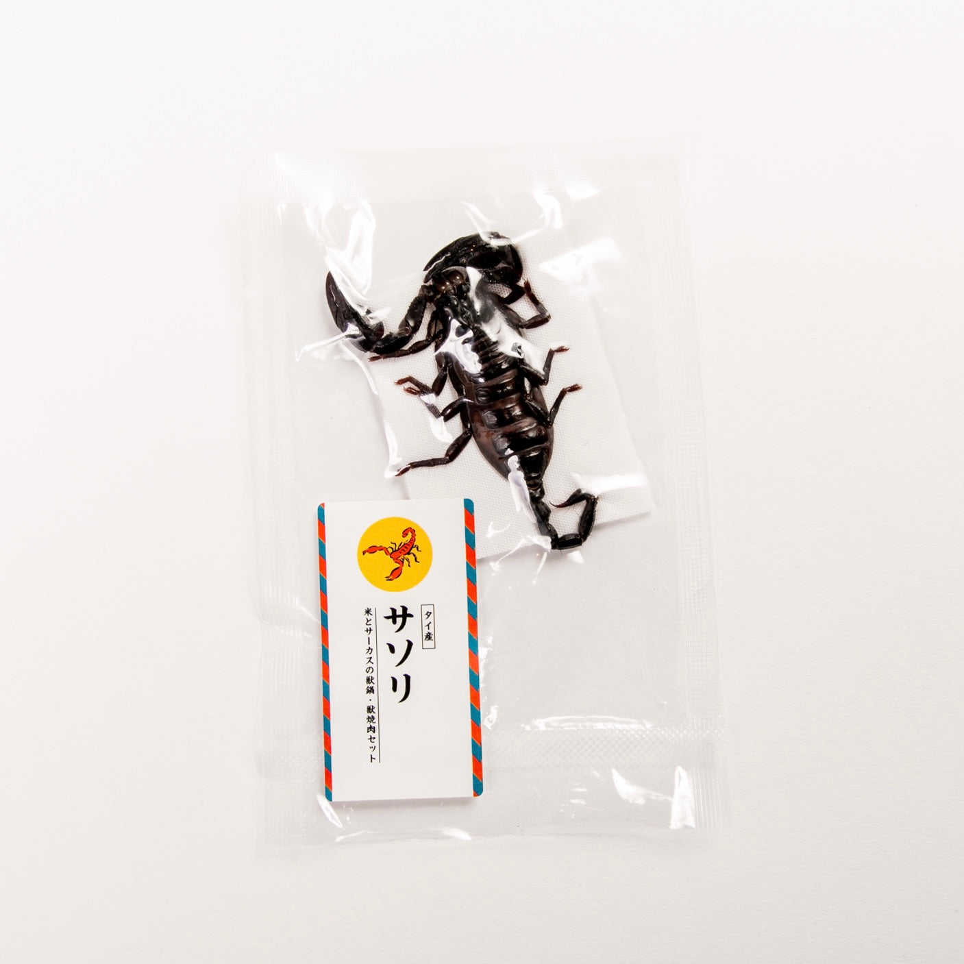 単品】タイ産 サソリ・1匹（20g） – 米とサーカス